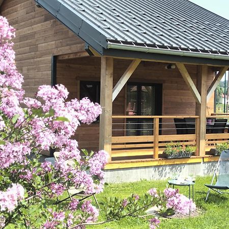 Vila L Etincelle Du Manon Lajoux Exteriér fotografie